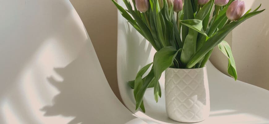 Amazing,Flowers,In,The,Sunlight